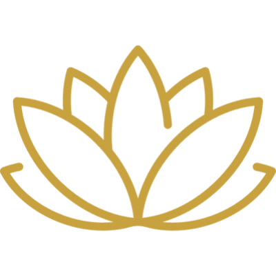 Wellness experiences (salt room, meditation)